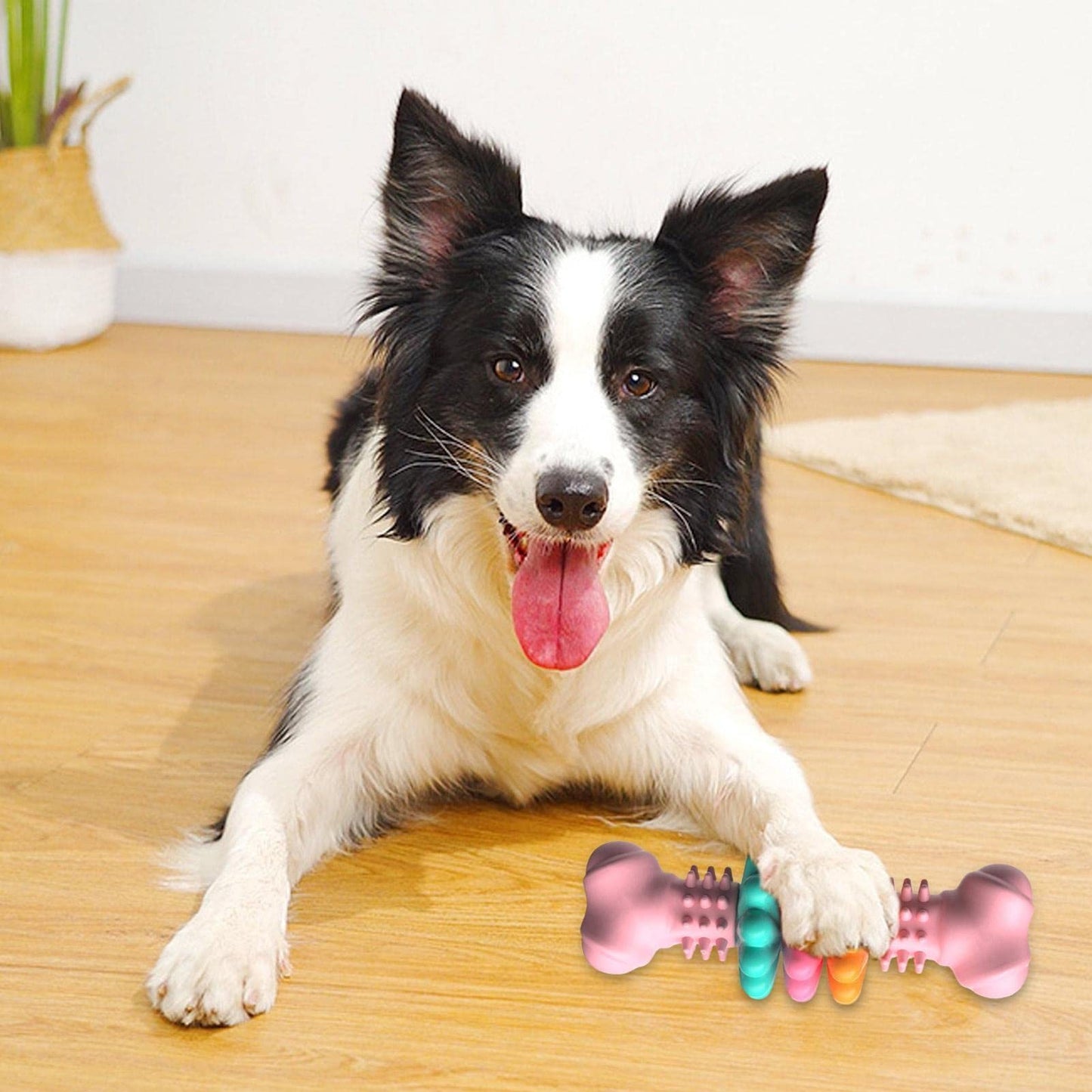 Indestructible Dog Bone Chew Toy TPR Teething & Teeth Cleaning, Bite-Resistant Pet Toy