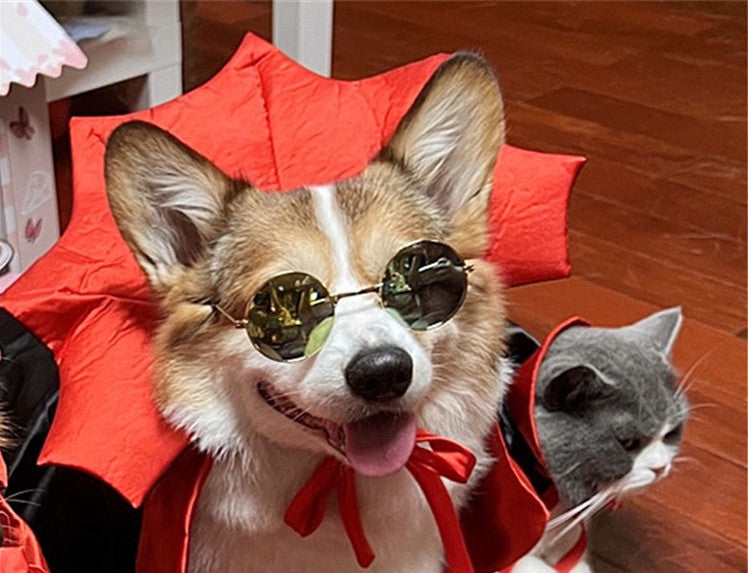 Vampire King Pet Cape Spooky Halloween Costume for Dogs & Cats