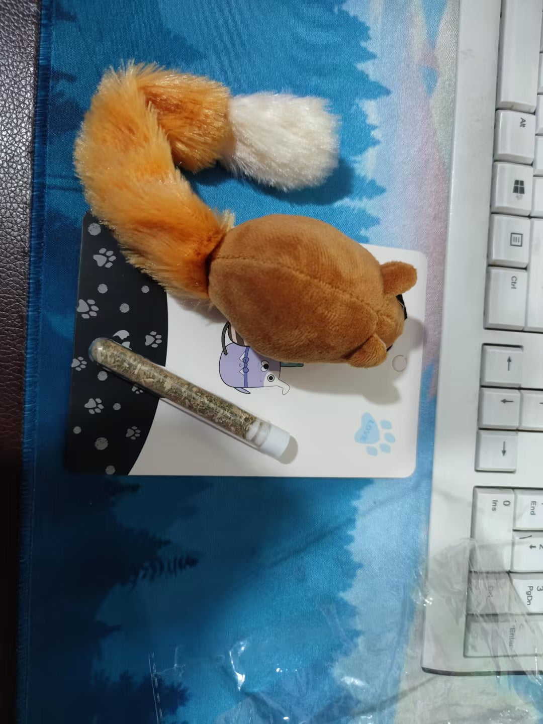 Essential Cat Supplies Fun & Engaging Cat Toys for Playtime and Exercise