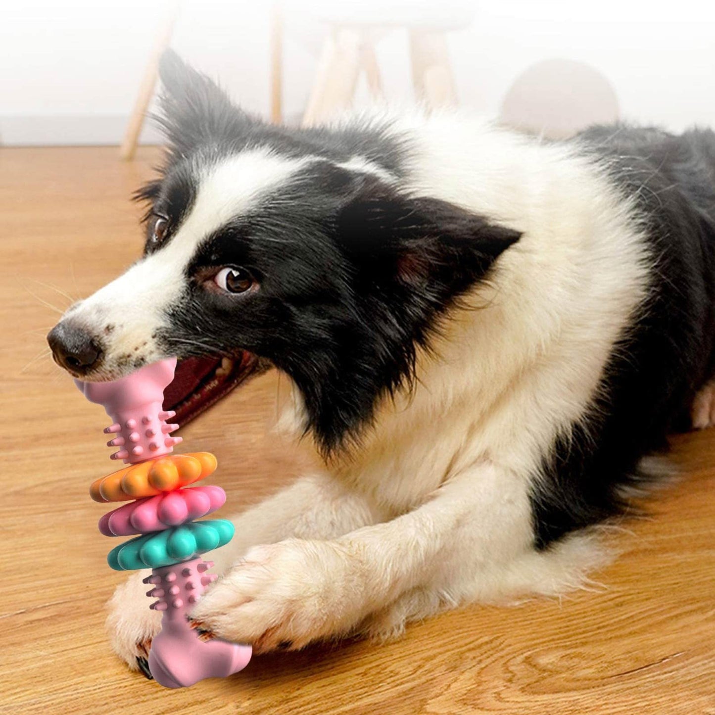 Indestructible Dog Bone Chew Toy TPR Teething & Teeth Cleaning, Bite-Resistant Pet Toy