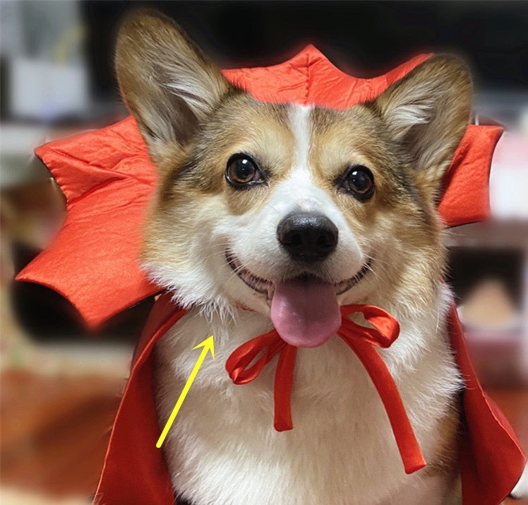 Vampire King Pet Cape Spooky Halloween Costume for Dogs & Cats